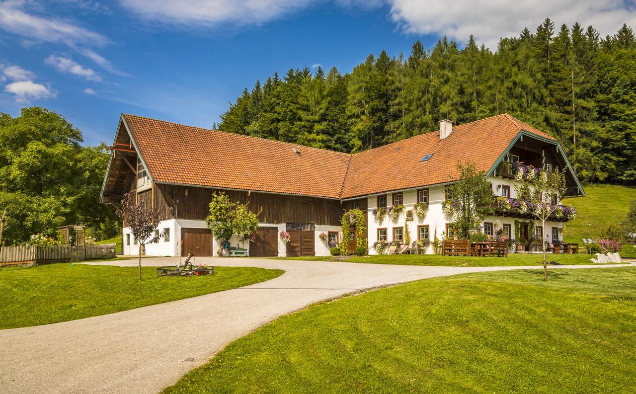 Wohlfuehlbauernhof Bambichlhof Villa Fuschl am See Dış mekan fotoğraf