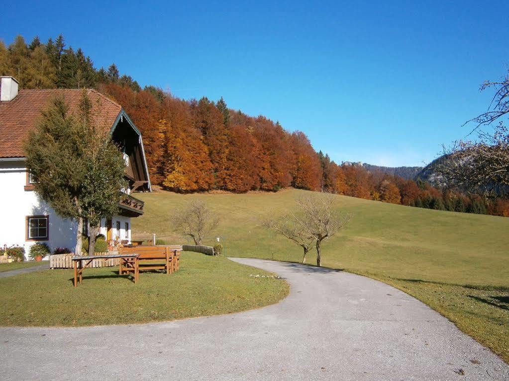 Wohlfuehlbauernhof Bambichlhof Villa Fuschl am See Dış mekan fotoğraf